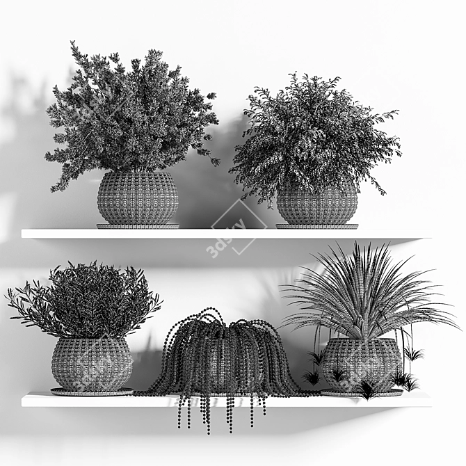 Botanical Bliss: Indoor Plant Set 3D model image 7