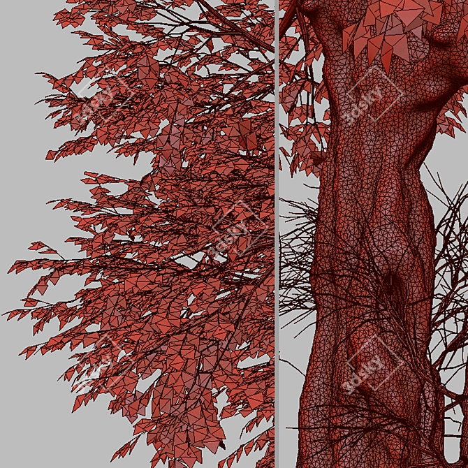 Hangzhou Elm Tree Set (2 Trees) 3D model image 2