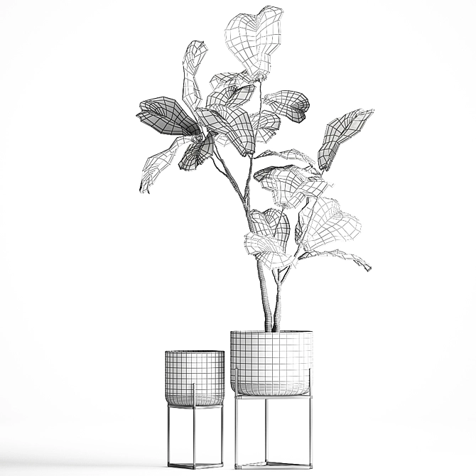 Exotic Tropical Plants in Glass Pot 3D model image 6