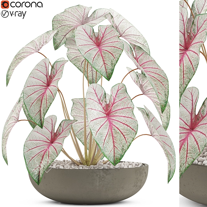 Exquisite Plants - Collection 521 3D model image 1