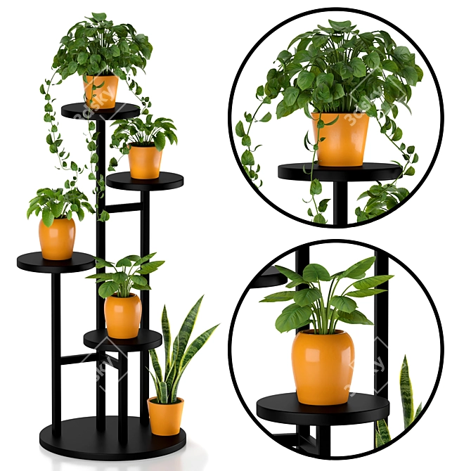 Indoor Plant Stand: Decorative Exotic Pothos & Sansevieria 3D model image 1