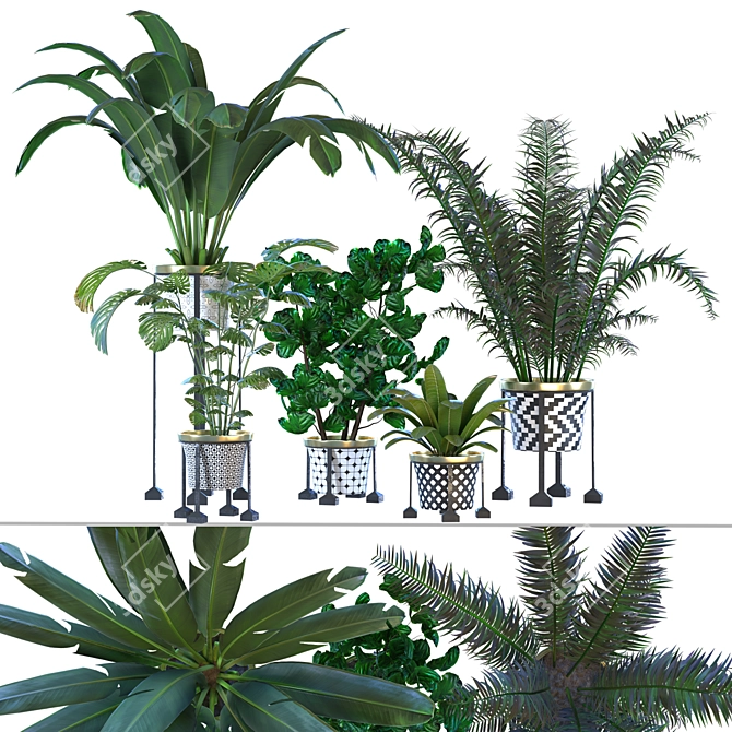 Green Living: Indoor Plant Vol 01 3D model image 1