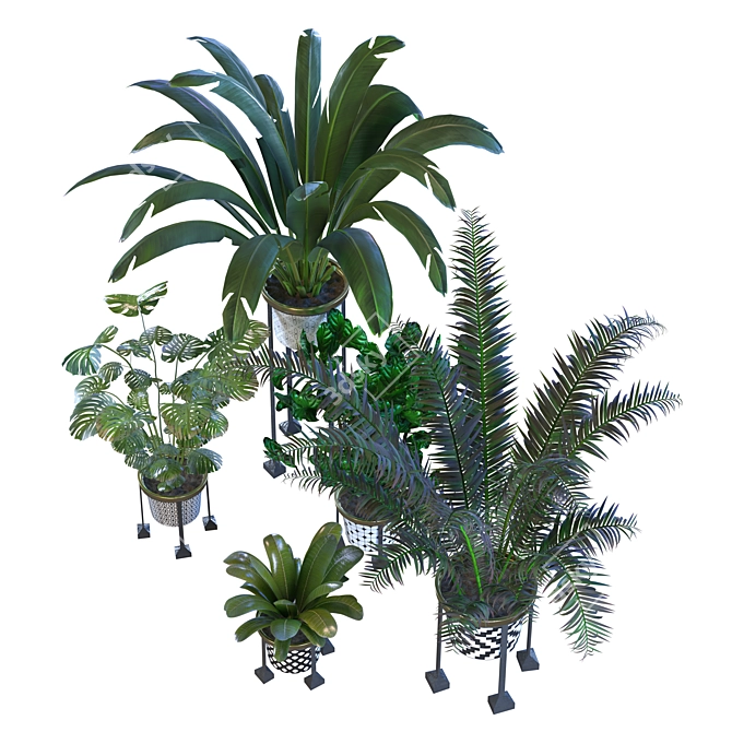 Green Living: Indoor Plant Vol 01 3D model image 2