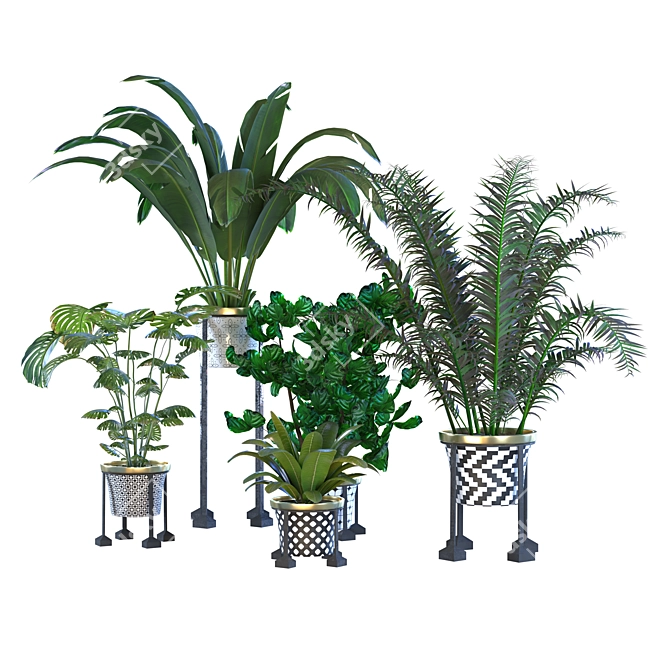 Green Living: Indoor Plant Vol 01 3D model image 3