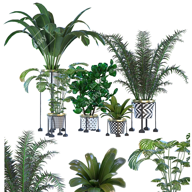 Green Living: Indoor Plant Vol 01 3D model image 4