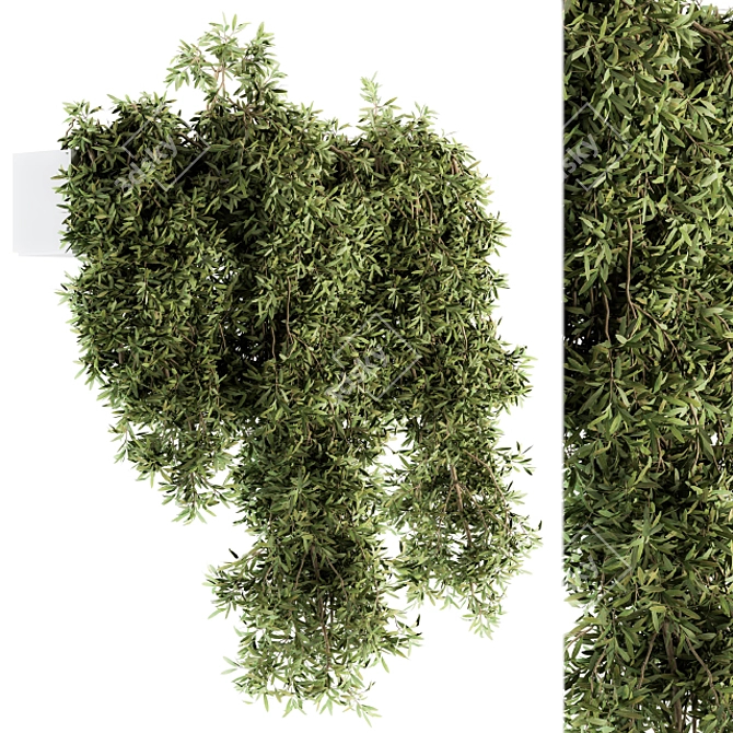 Lush Greenery: Outdoor Hanging Plants 3D model image 1