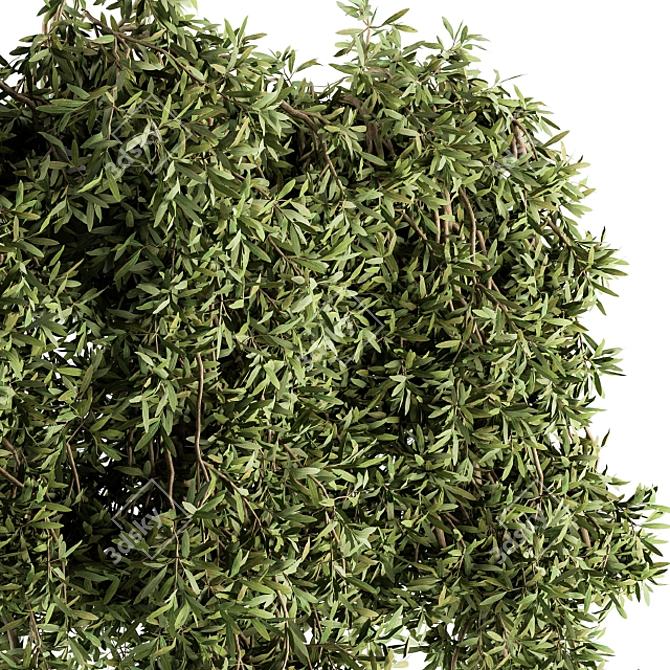 Lush Greenery: Outdoor Hanging Plants 3D model image 2