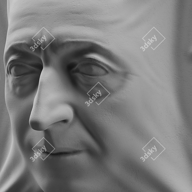 Sleek Face Sculpture 3D model image 2