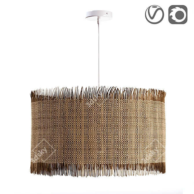 Exotic Raffia Lampshade: Alluzi 3D model image 1