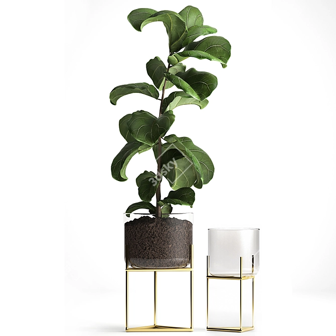 Tropical Plant Collection: Exotic Ficus Lyrata in Stylish Zara Home Pot 3D model image 4