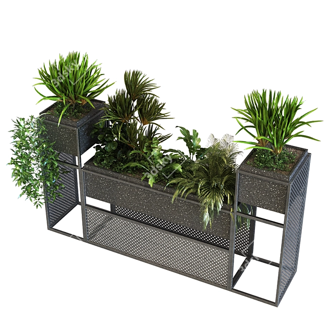 Greenery Box Set 066: Indoor Plant in Stylish Display 3D model image 5