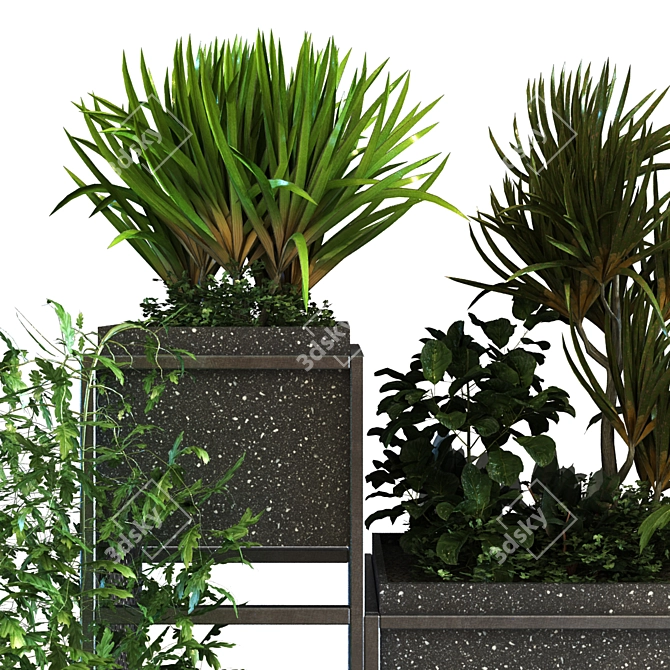 Greenery Box Set 066: Indoor Plant in Stylish Display 3D model image 6