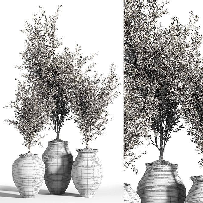 Olive Greenery Indoor Plant Set 3D model image 3