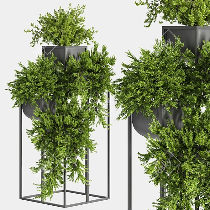 Green Oasis Indoor Plant Set 3D model image 1