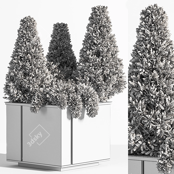 Evergreen Pine Tree: 3Ds Max 2015 3D model image 2