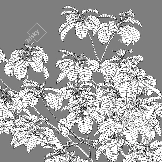 Archived 3D Models: Alder Tree Bundle 3D model image 3