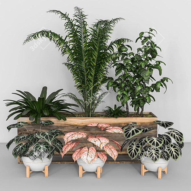 Lush Indoor Plant Set 3D model image 6