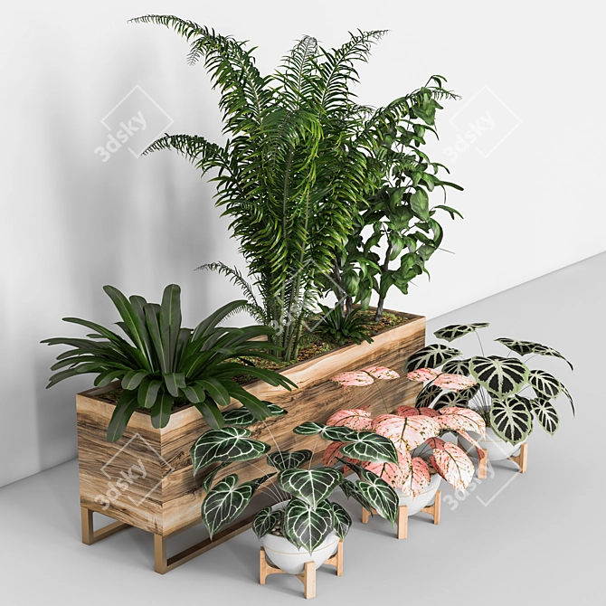 Lush Indoor Plant Set 3D model image 7