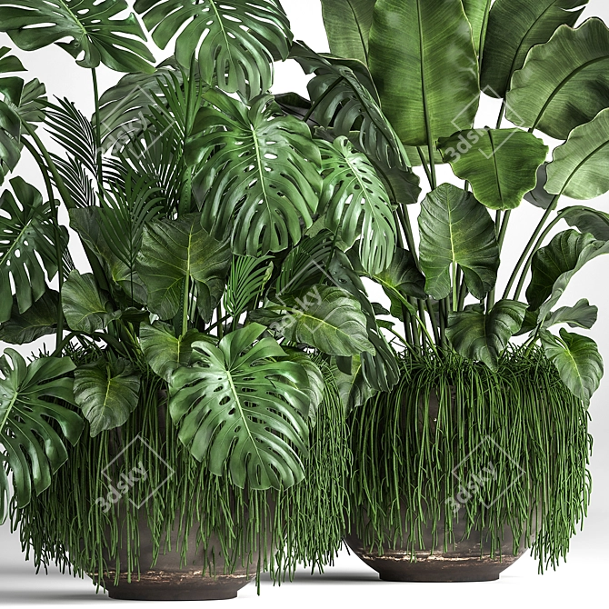 Tropical Plant Collection 3D model image 2