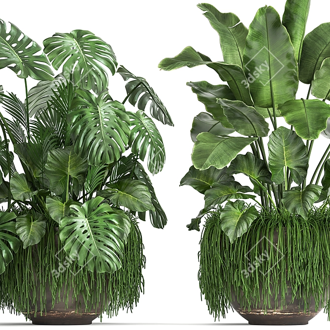 Tropical Plant Collection 3D model image 5