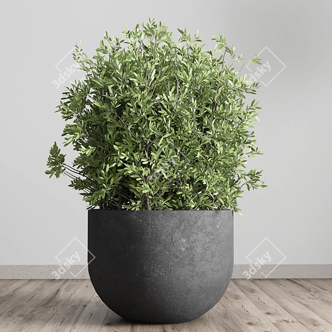 Concrete Vase Collection: Outdoor Elegance 3D model image 3