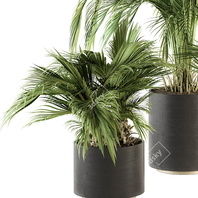 Tropical Paradise: Indoor Palm Set 3D model image 2