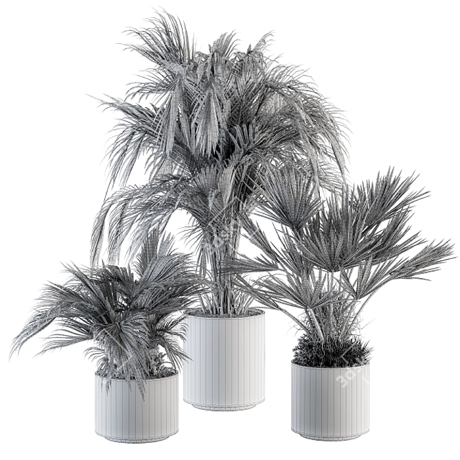 Tropical Paradise: Indoor Palm Set 3D model image 5