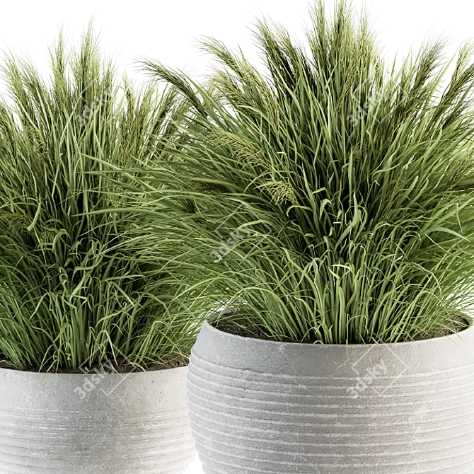 Fresh Green Grass in Pot 3D model image 4