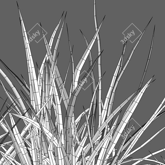 Elegant Pendulous Sedge - 3D Models 3D model image 3