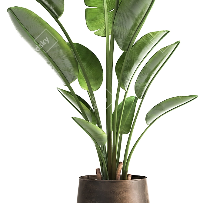 Tropical Plant Collection: Exotic Indoor & Outdoor Decor 3D model image 2