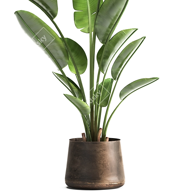 Tropical Plant Collection: Exotic Indoor & Outdoor Decor 3D model image 3