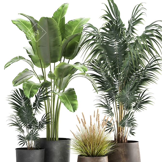 Exotic Plant Collection in Stylish Pots 3D model image 3