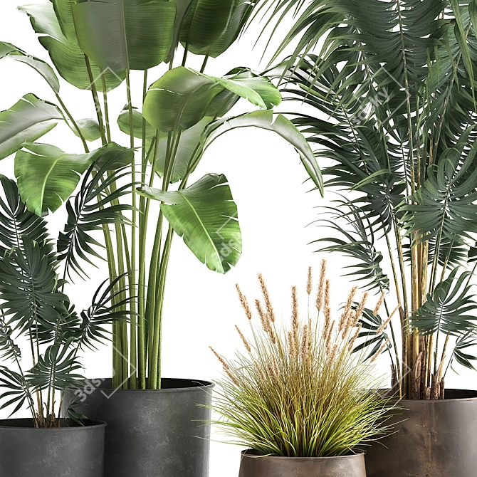 Exotic Plant Collection in Stylish Pots 3D model image 4