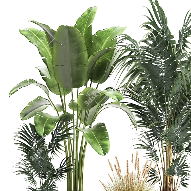Exotic Plant Collection in Stylish Pots 3D model image 5
