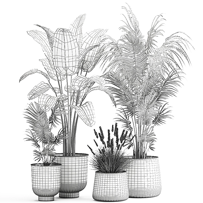 Exotic Plant Collection in Stylish Pots 3D model image 6