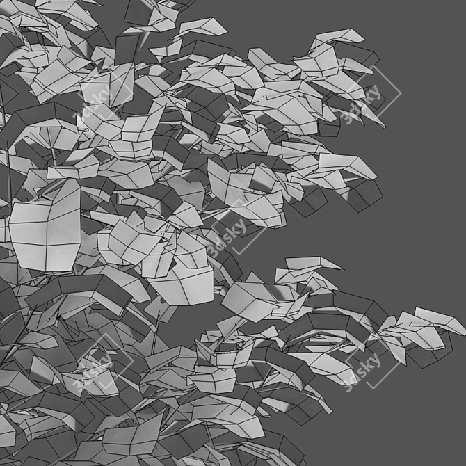 Carpinus Betulus Bundle - 3D Tree Models 3D model image 2