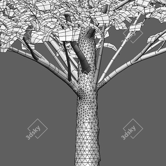 Carpinus Betulus Bundle - 3D Tree Models 3D model image 3