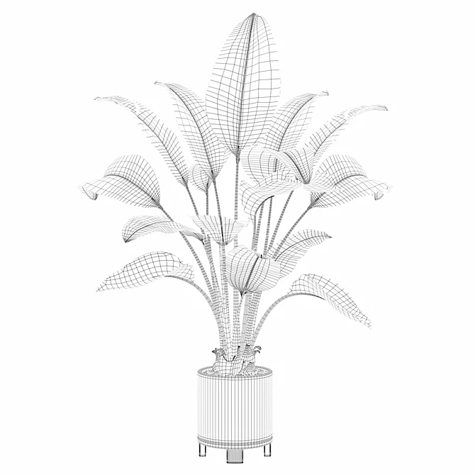 Tropical Paradise: Strelitzia Collection 3D model image 4