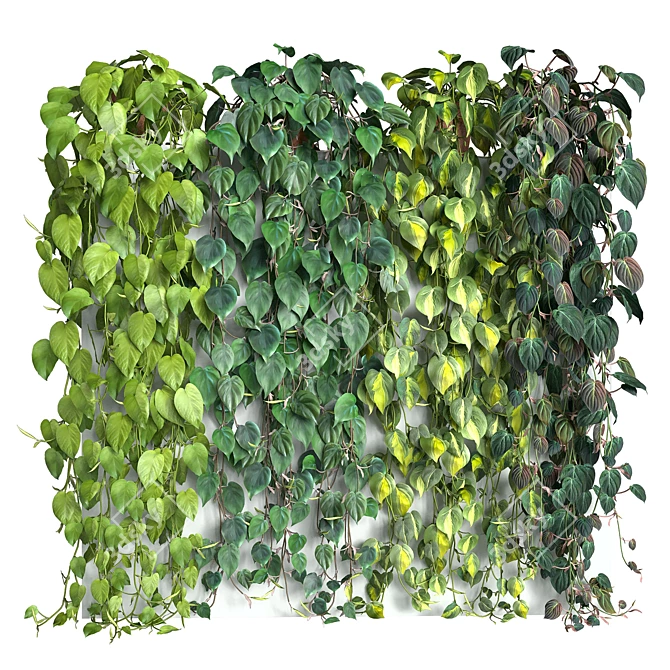 Tropical Philodendron Mix: 4 Stunning Varieties 3D model image 1