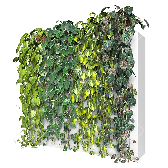 Tropical Philodendron Mix: 4 Stunning Varieties 3D model image 2