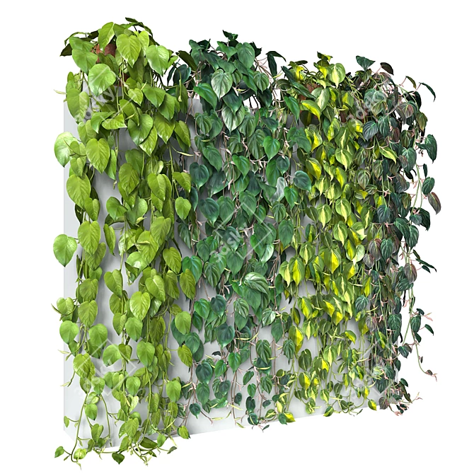 Tropical Philodendron Mix: 4 Stunning Varieties 3D model image 3