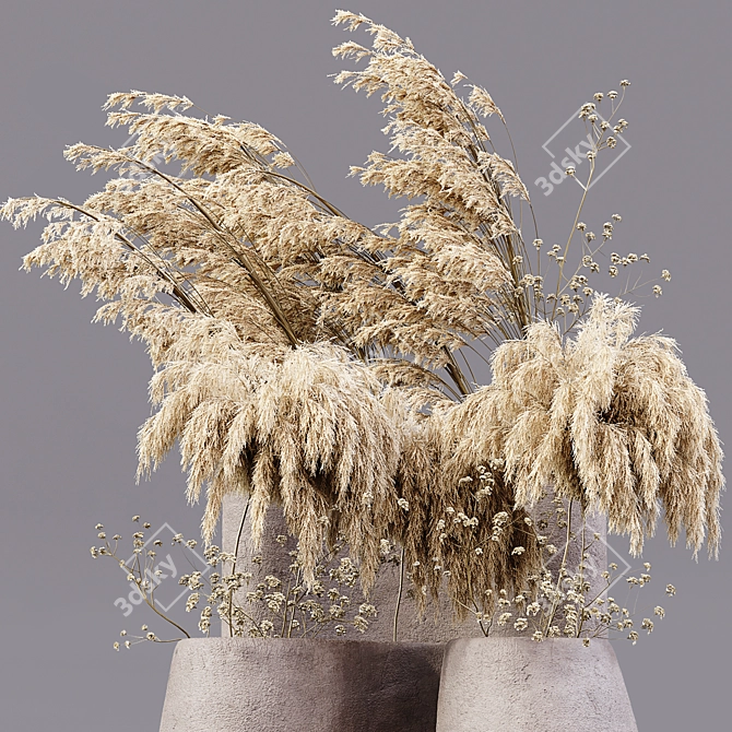 Desiccated Plant Collection 3D model image 4