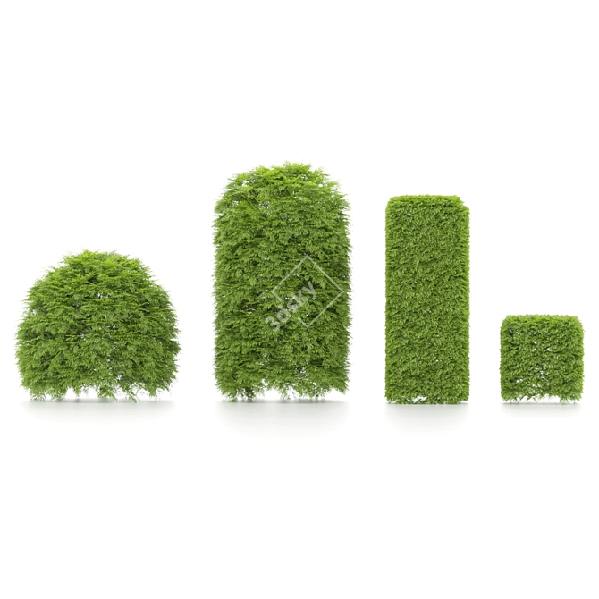 Variety of Shaped Bush Plants 3D model image 2