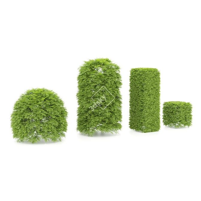 Variety of Shaped Bush Plants 3D model image 6