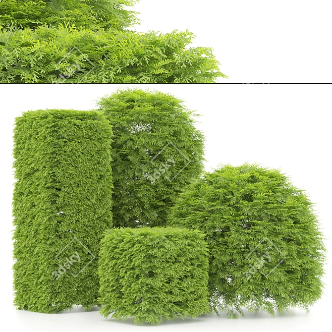 Variety of Shaped Bush Plants 3D model image 7