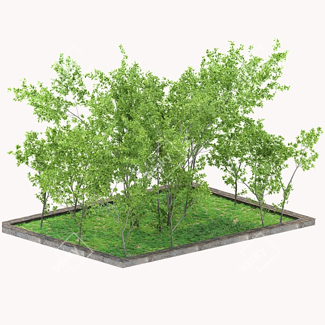 Versatile Yard Square with 2 Corona Scatter 3D model image 1