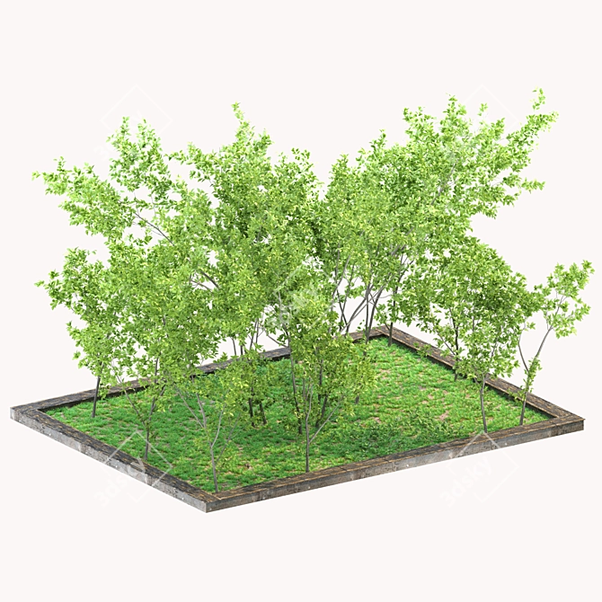 Versatile Yard Square with 2 Corona Scatter 3D model image 6