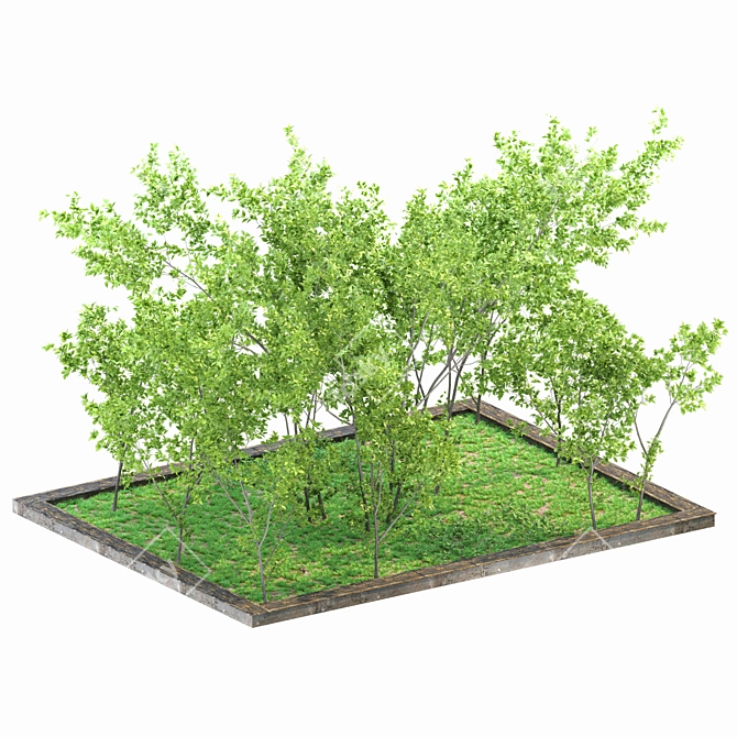 Versatile Yard Square with 2 Corona Scatter 3D model image 9