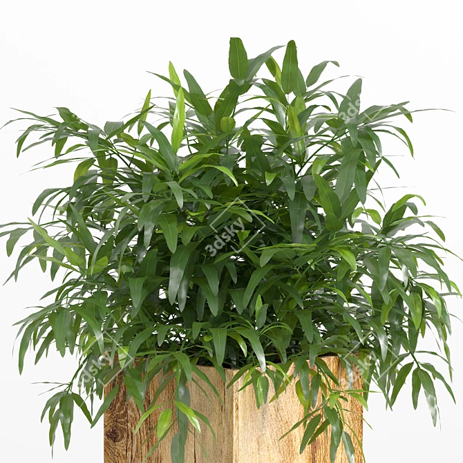 Title: Natural Wood Plant Set - 130 cm 3D model image 2