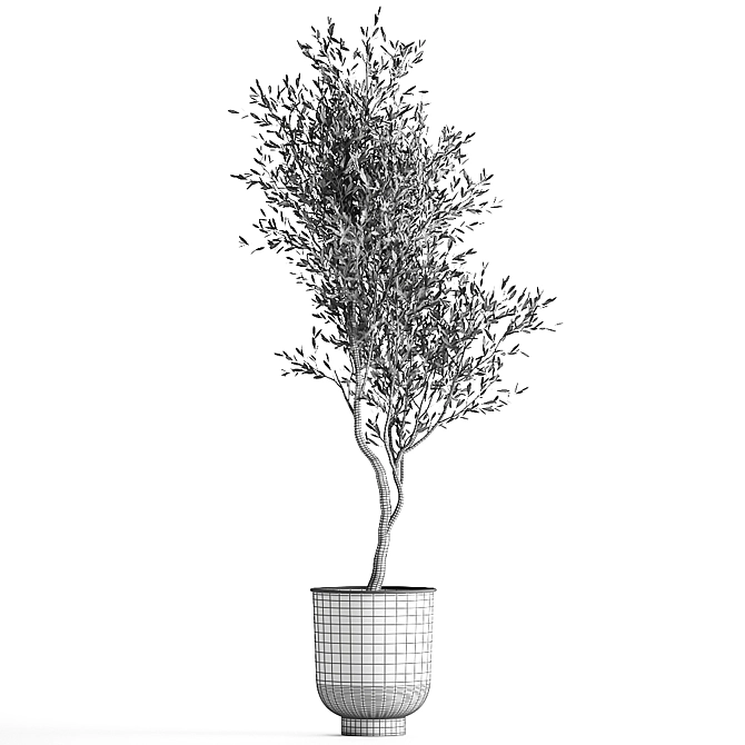 Tropical Plant Collection in Metal Planters 3D model image 7